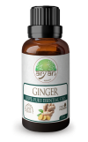 Aryan Ginger (Adrak) Oil 15ML – 100% Pure Essential Oils