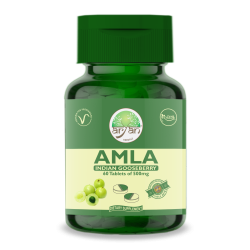 Aryan Herbals Amla Tablets (Indian Gooseberry) 60 Tablets of 500 MG