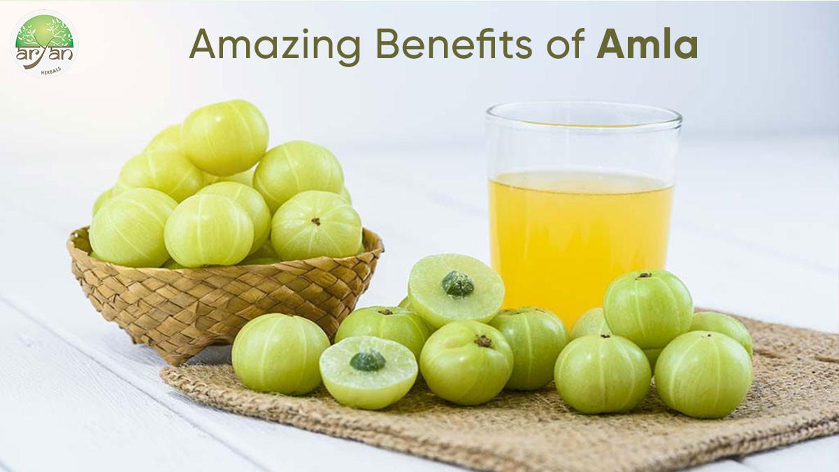 Health Benefits of Having Amla (Indian Gooseberry) in the Winters