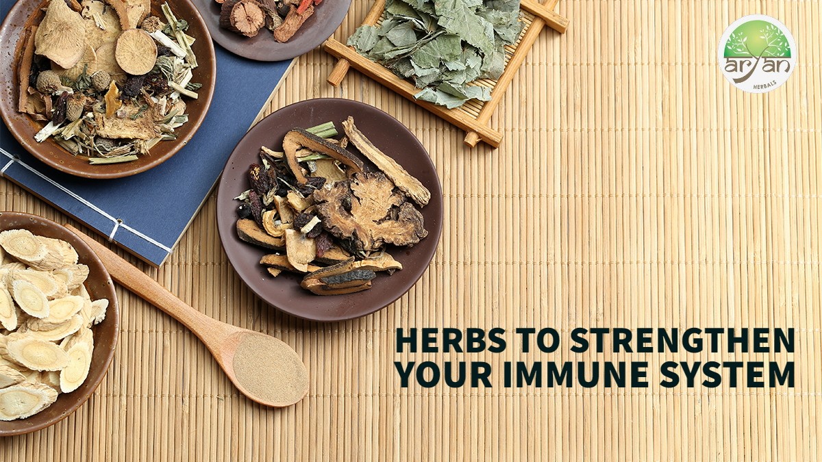 Herbs at Your Rescue to Strengthen Your Immune System