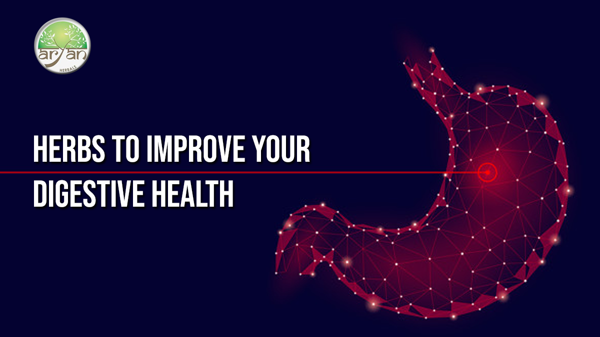 Herbs for a Healthy Gut