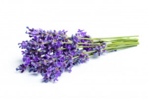 6. lavender