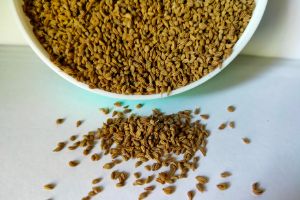 Carrom Seeds